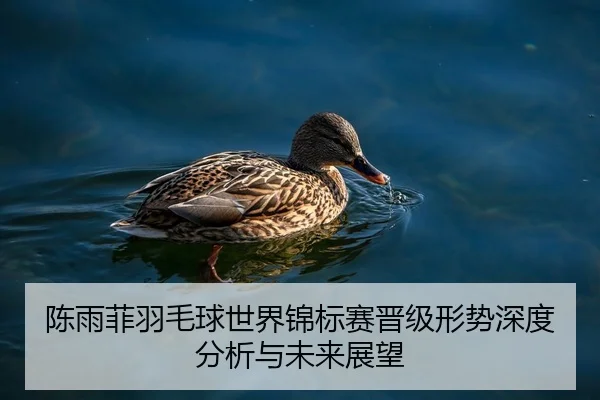 陈雨菲羽毛球世界锦标赛晋级形势深度分析与未来展望